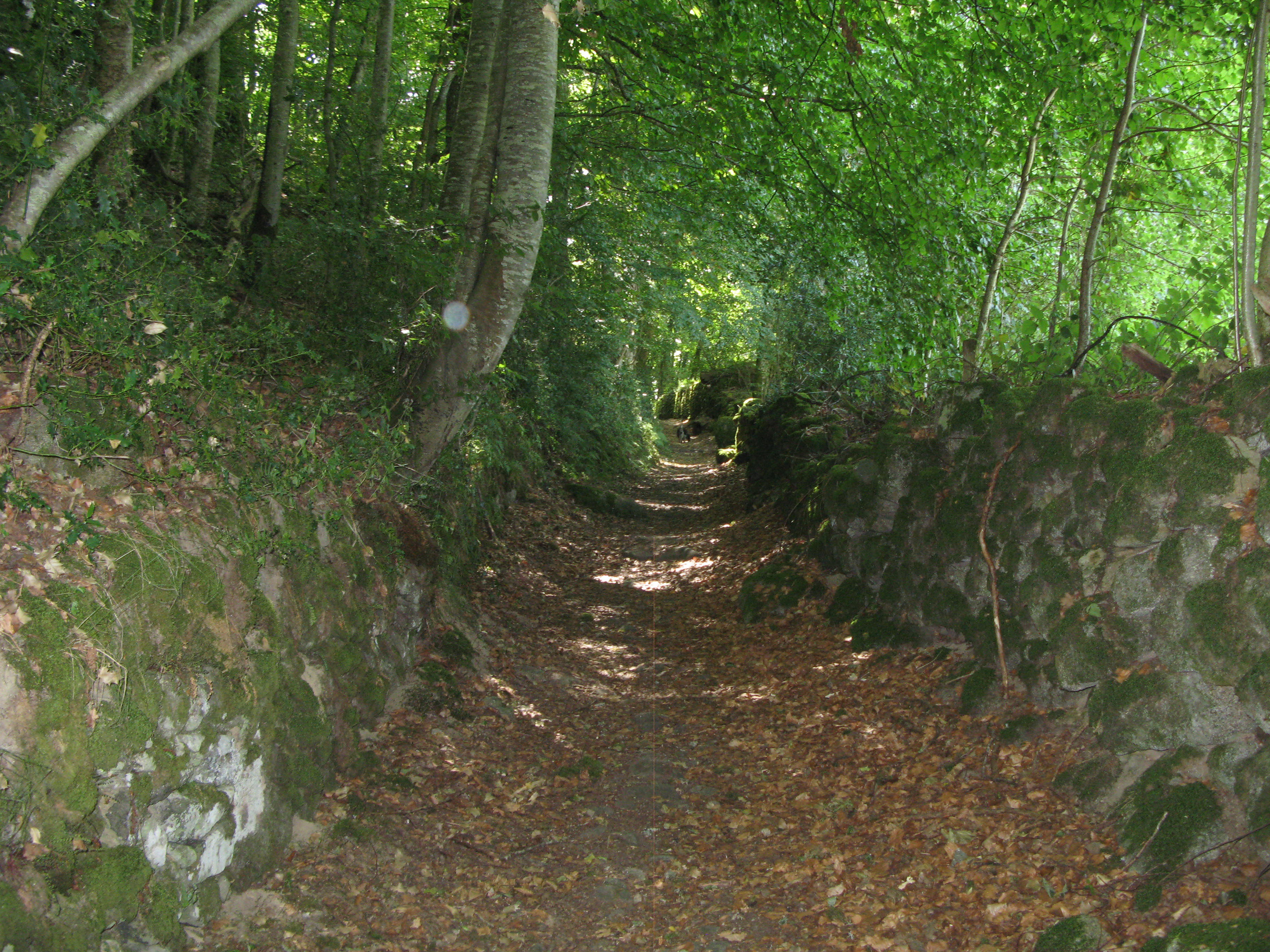 Casa nella natura a Le Compas