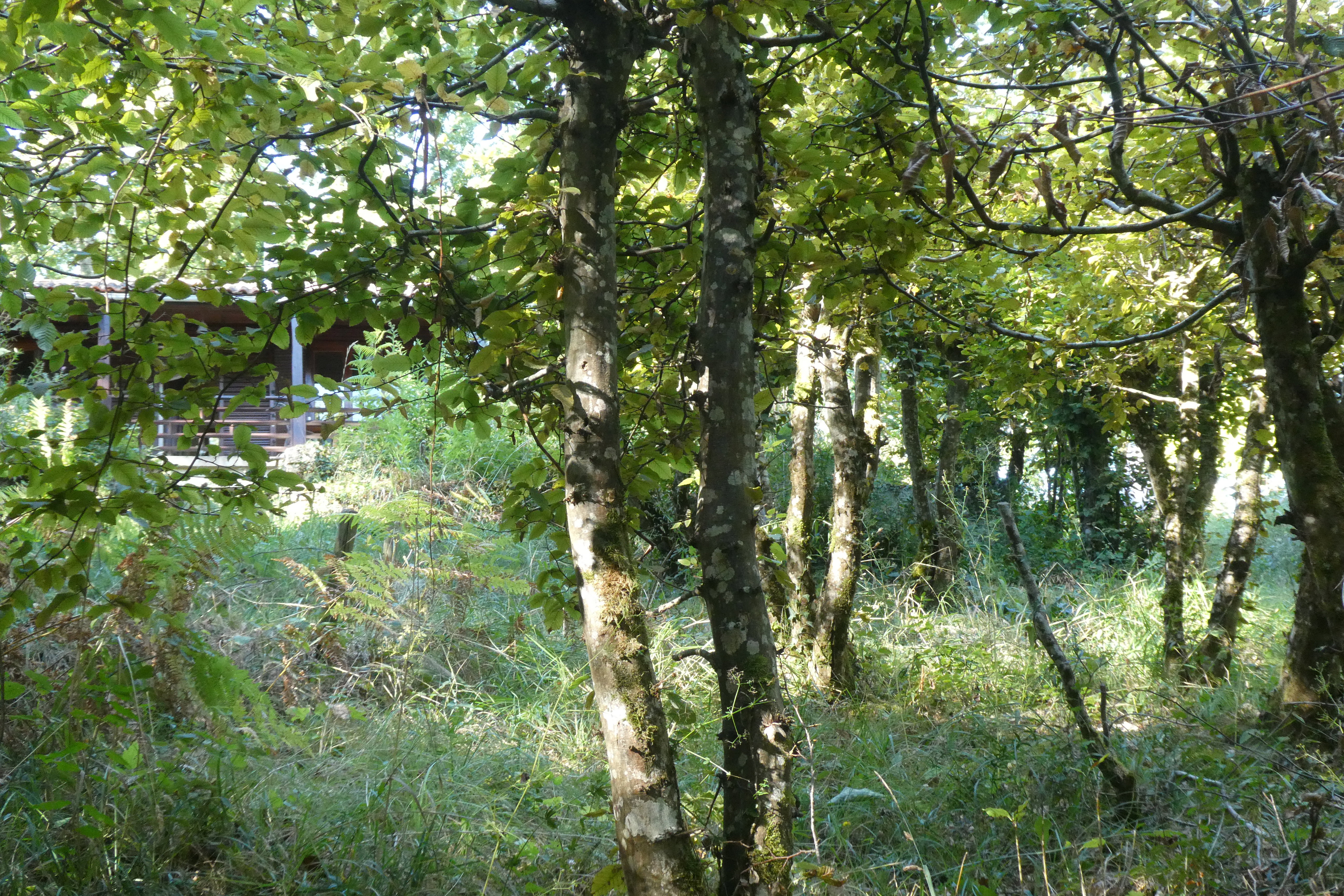 Naturhäuschen in Cladech