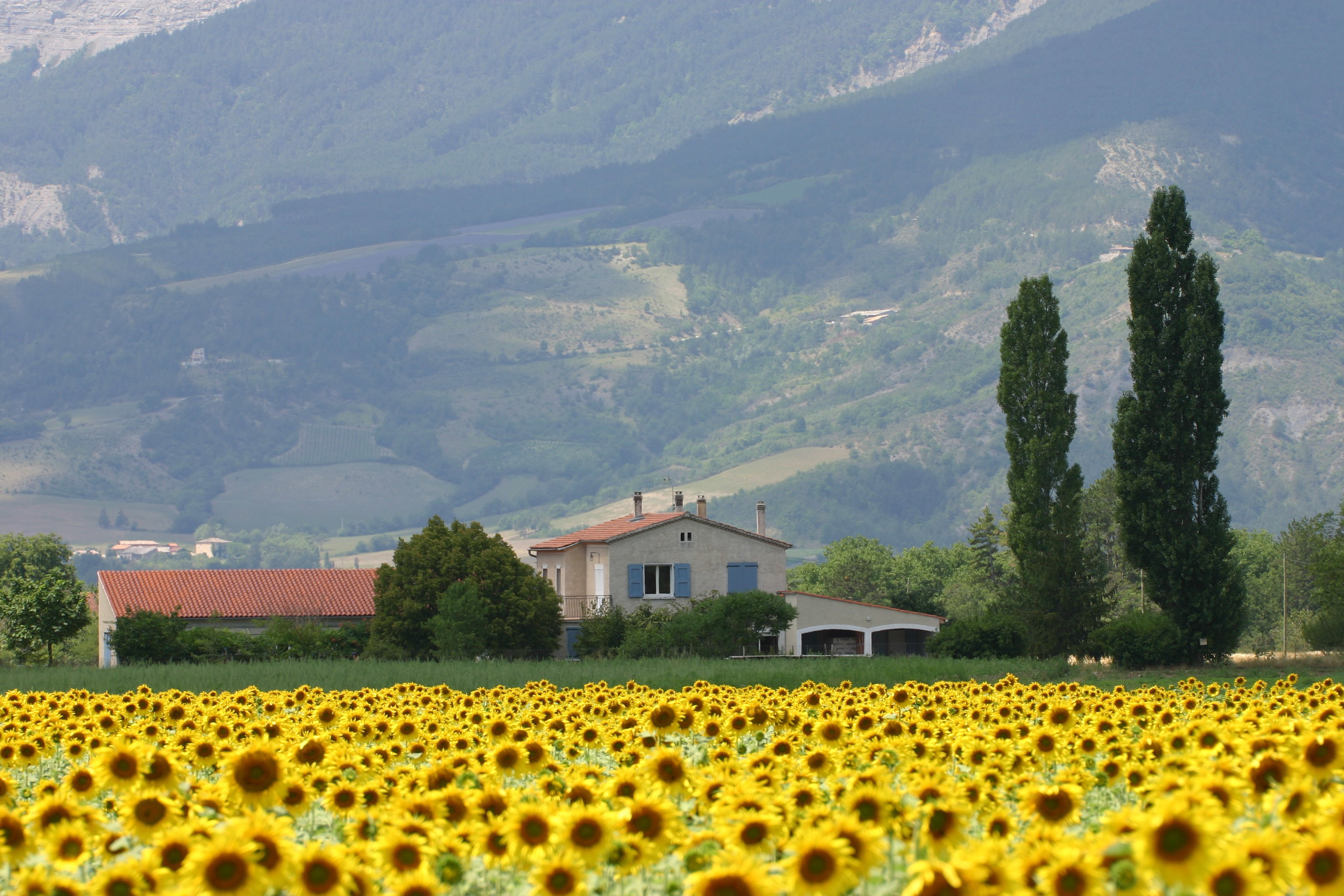 Maison nature à Menglon