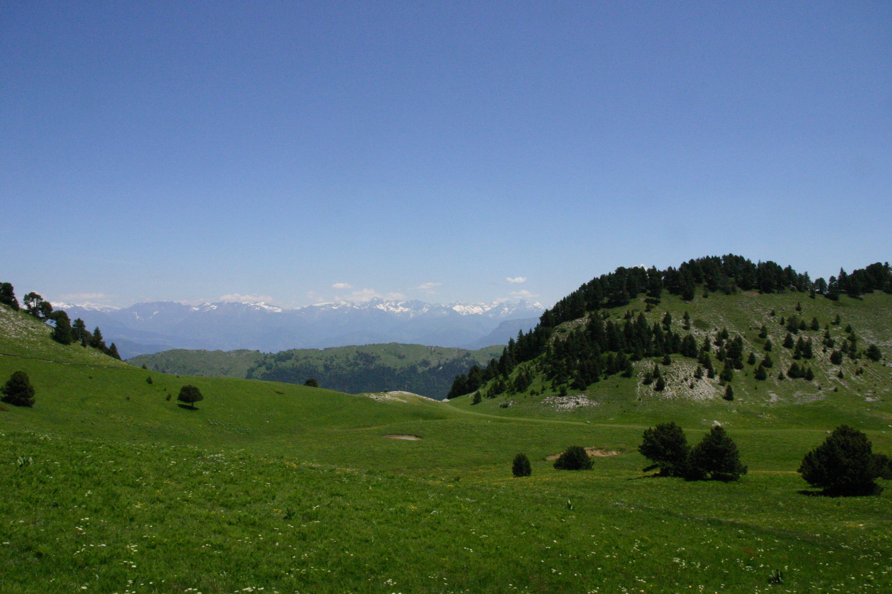 - image: 29