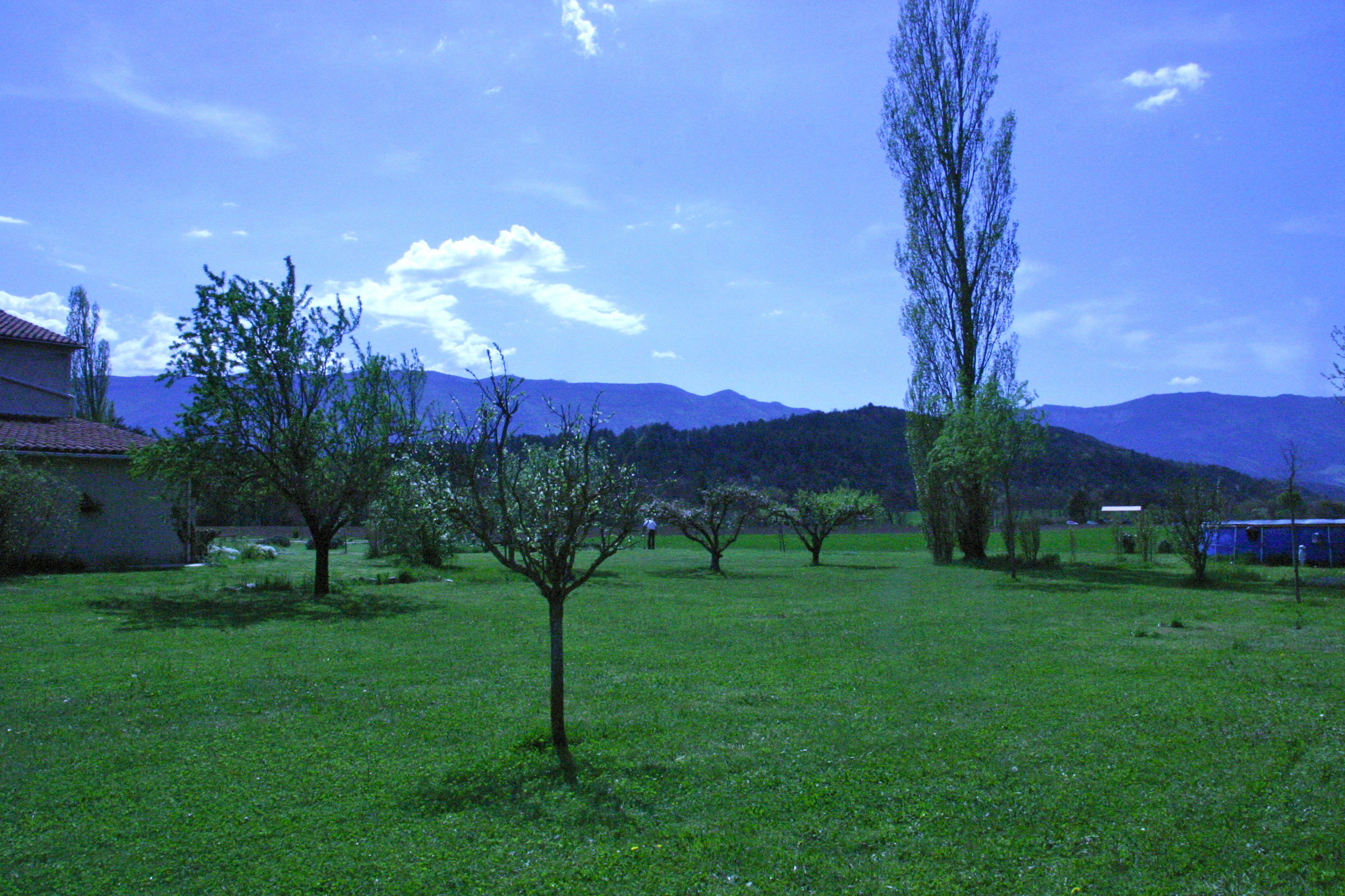 - image: 22