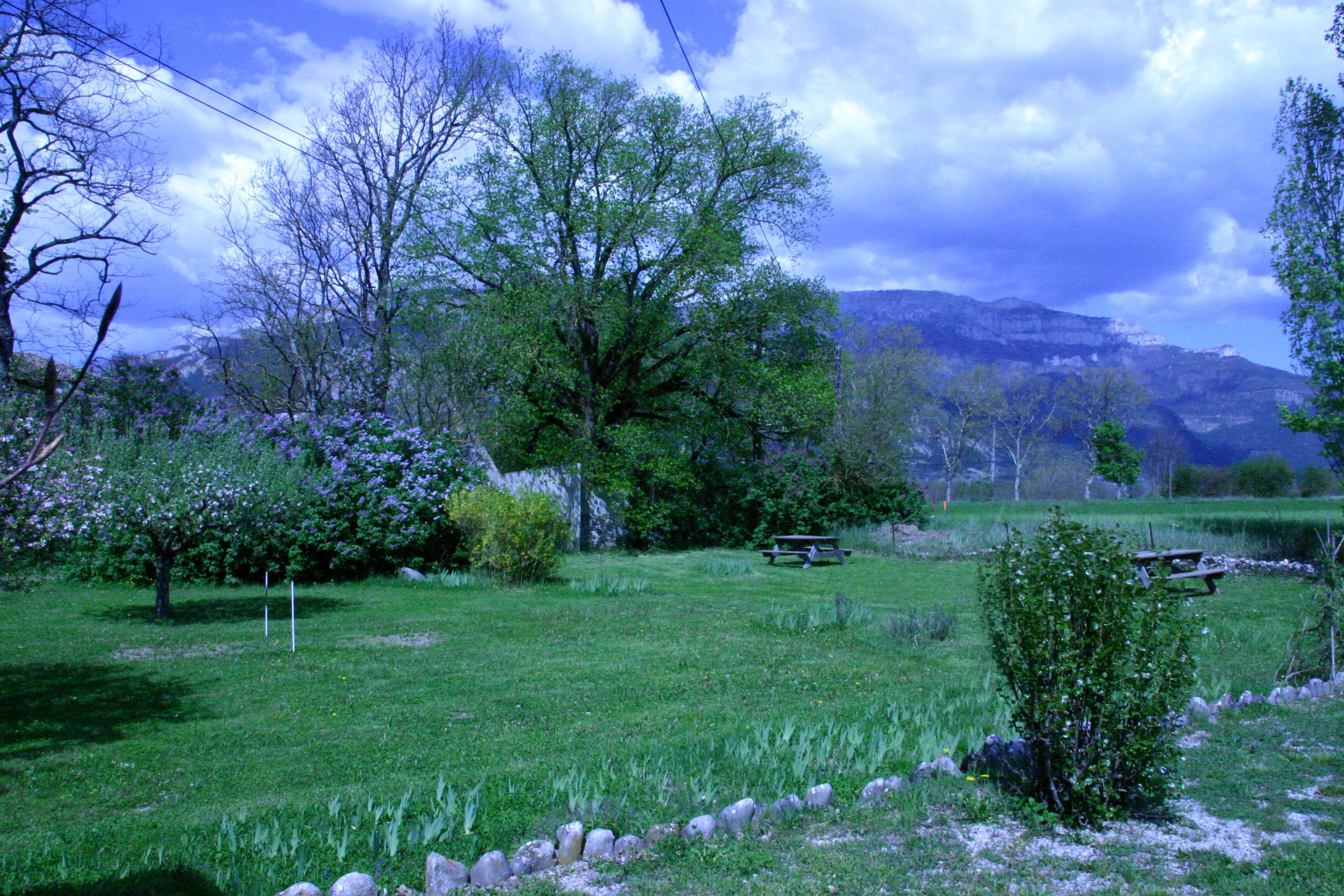 - image: 21