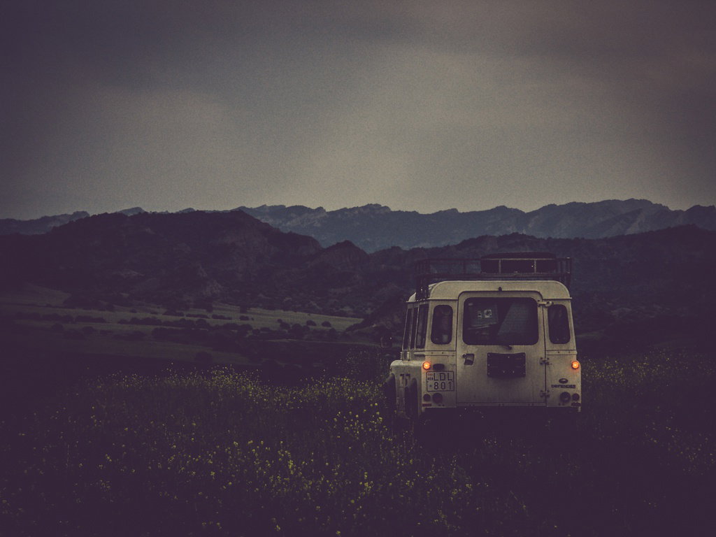- image: 16