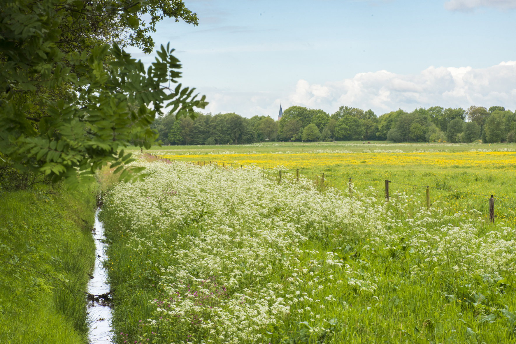 Naturhäuschen in Anderen