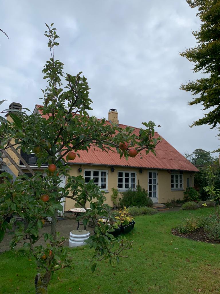 Naturhäuschen in Bisholt