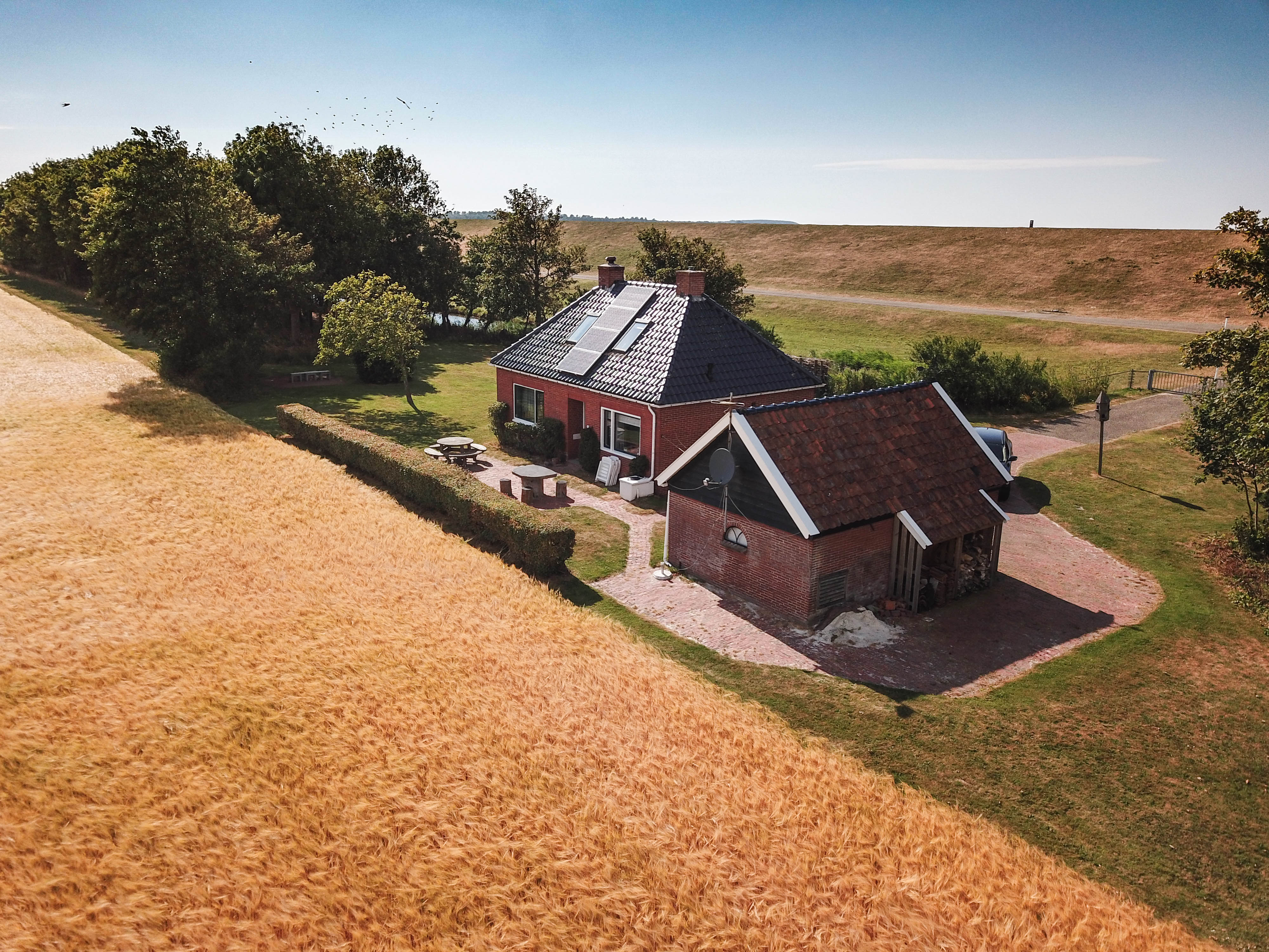 Maison nature à Hornhuizen
