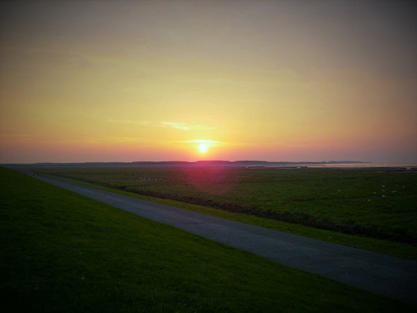 - image: 54