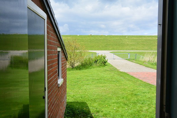 - image: 16