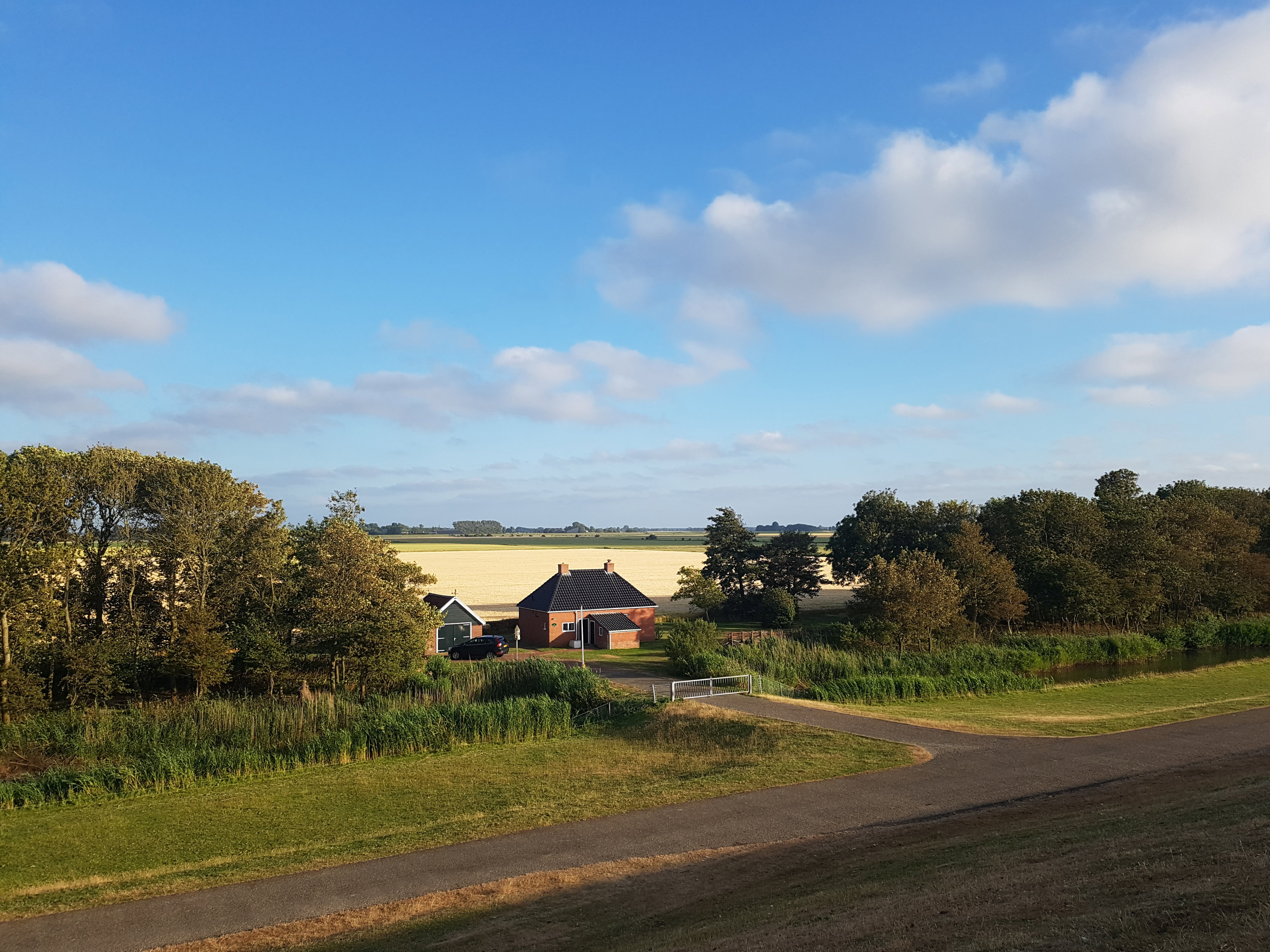 Maison nature à Hornhuizen
