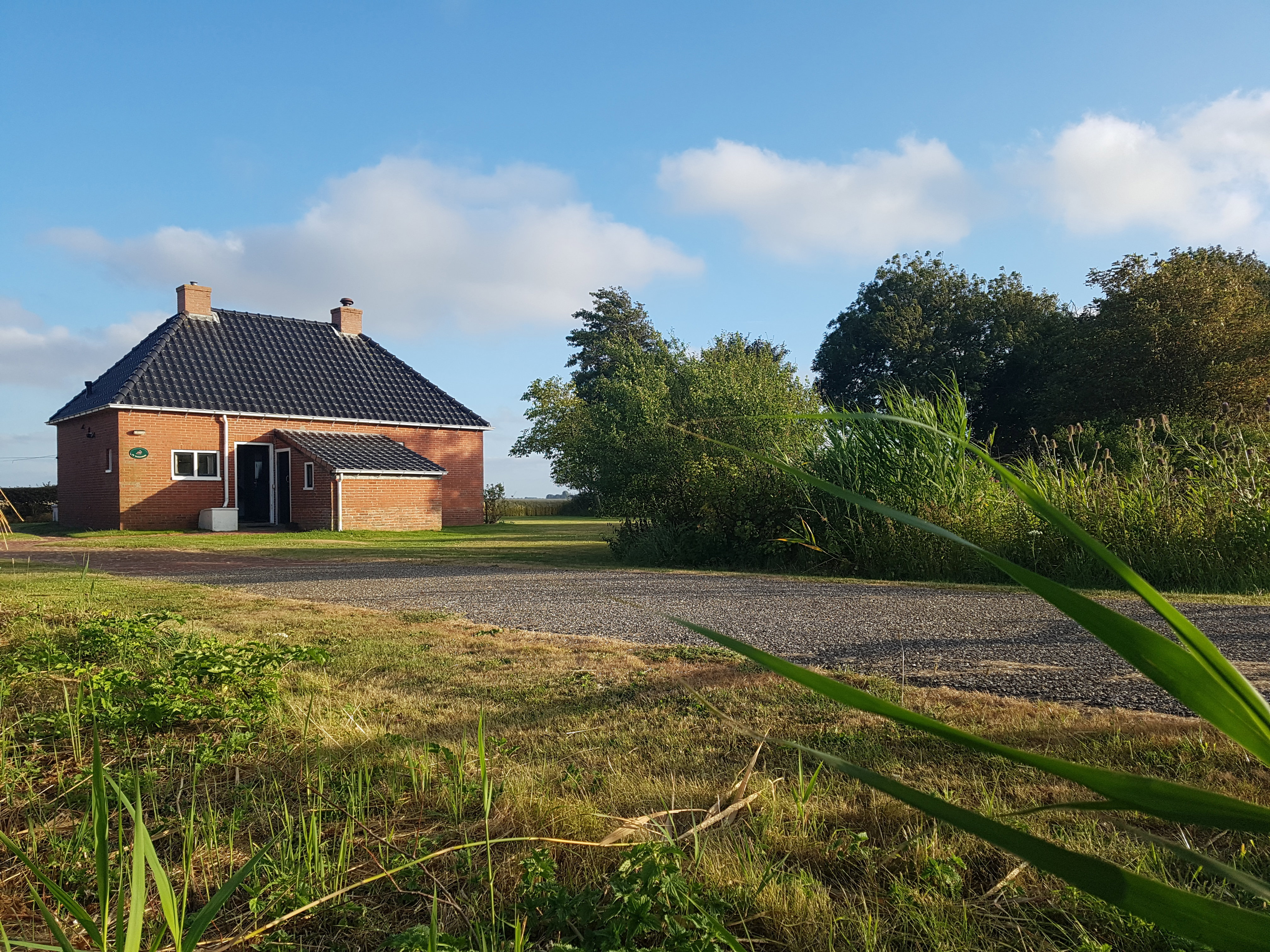 Maison nature à Hornhuizen