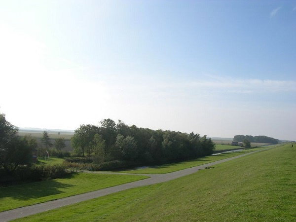 - image: 19