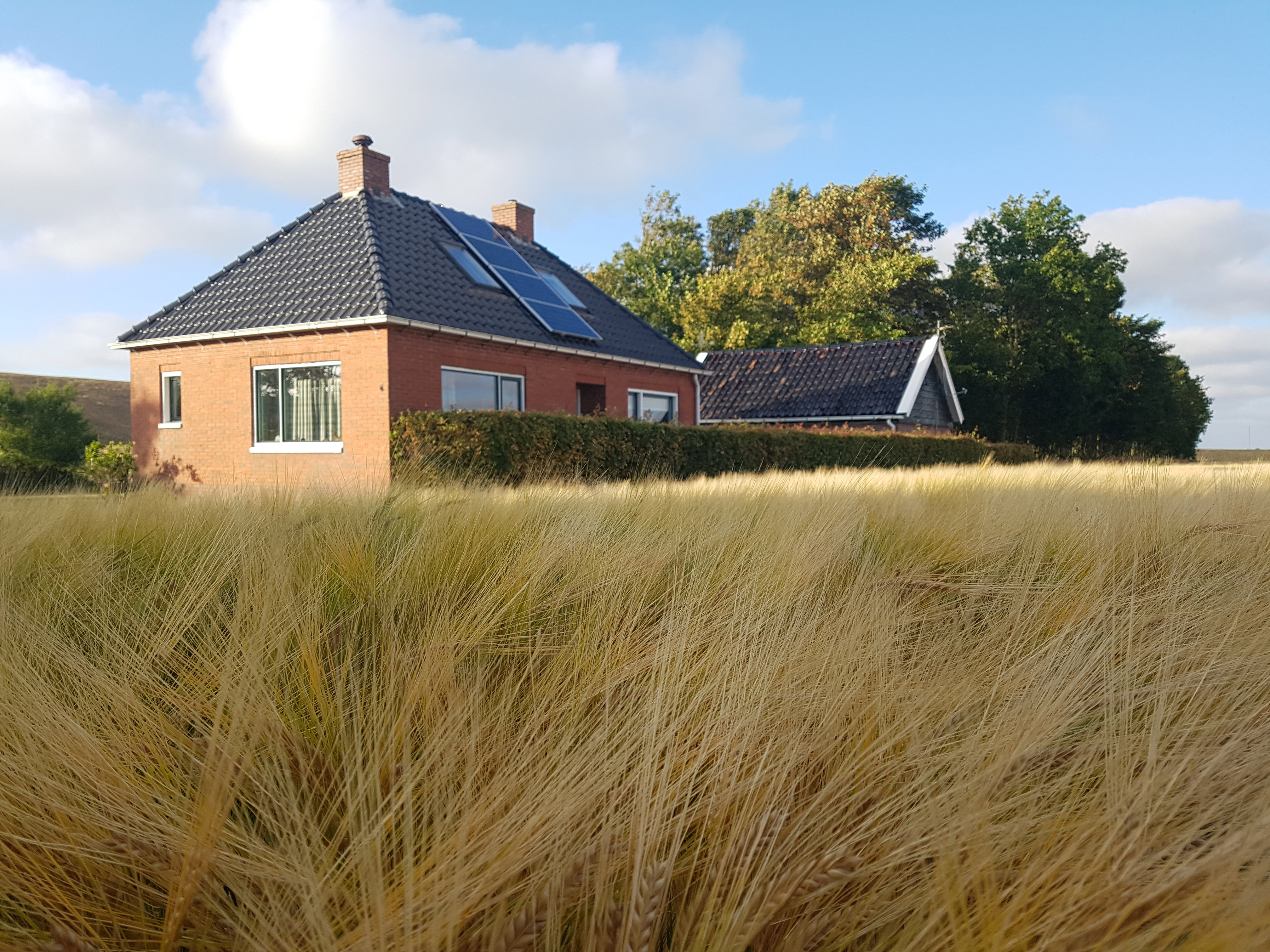 Maison nature à Hornhuizen