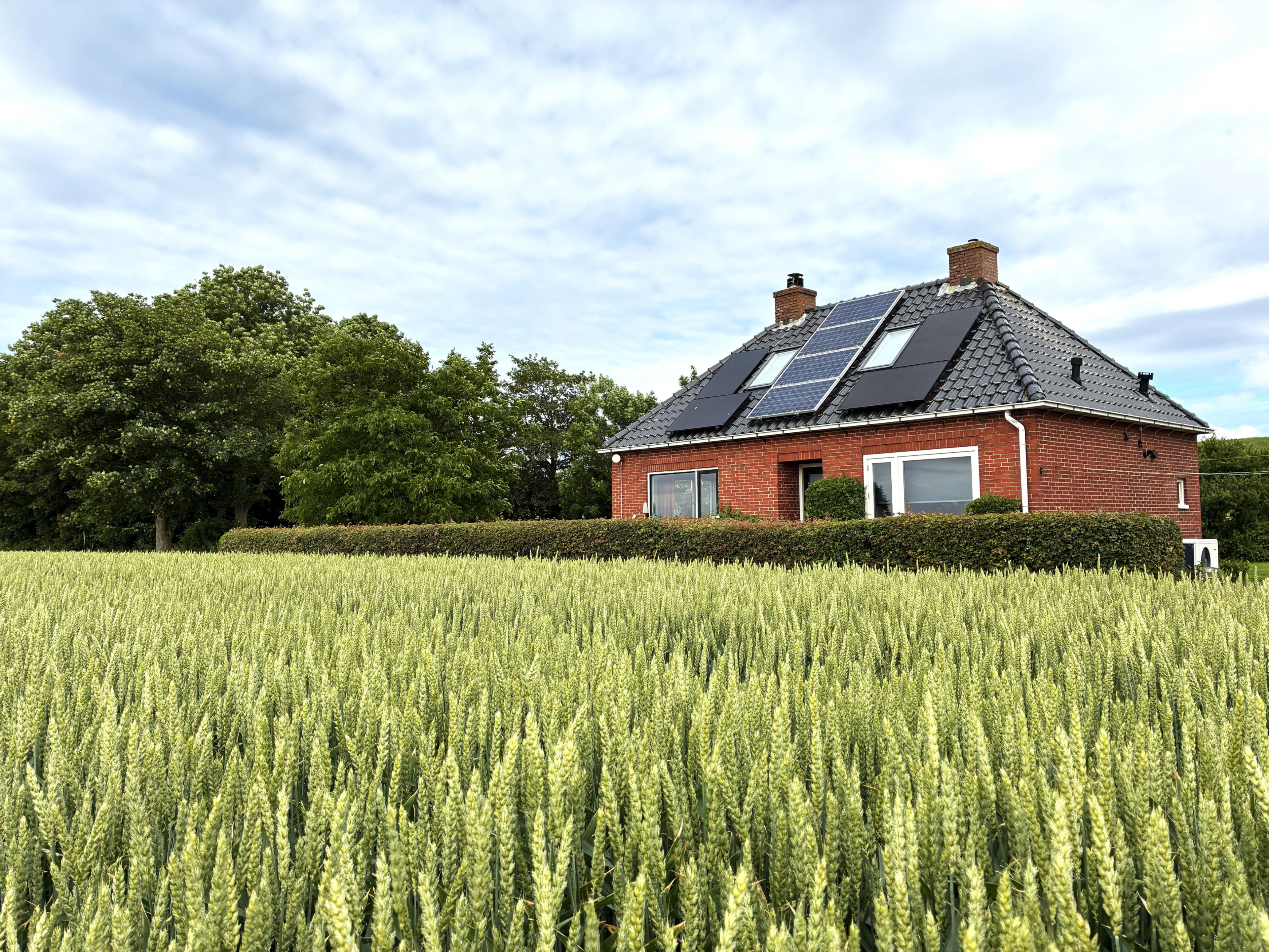 Natuurhuisje in Hornhuizen