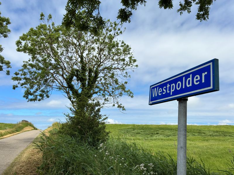 - image: 77