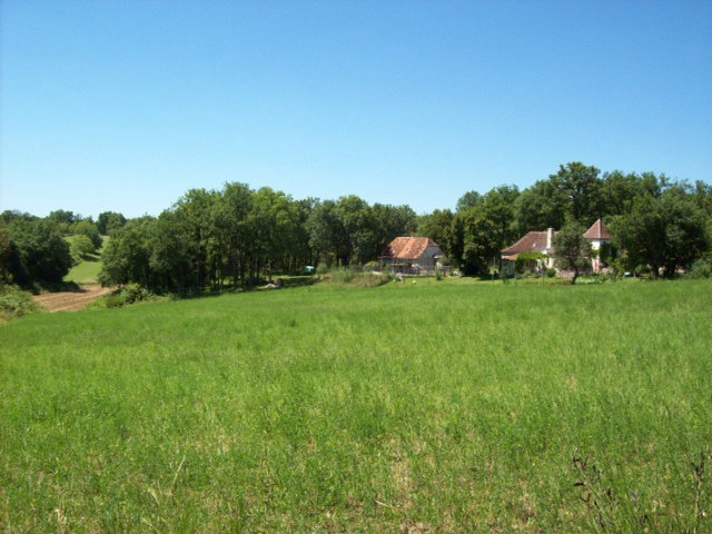 - image: 21