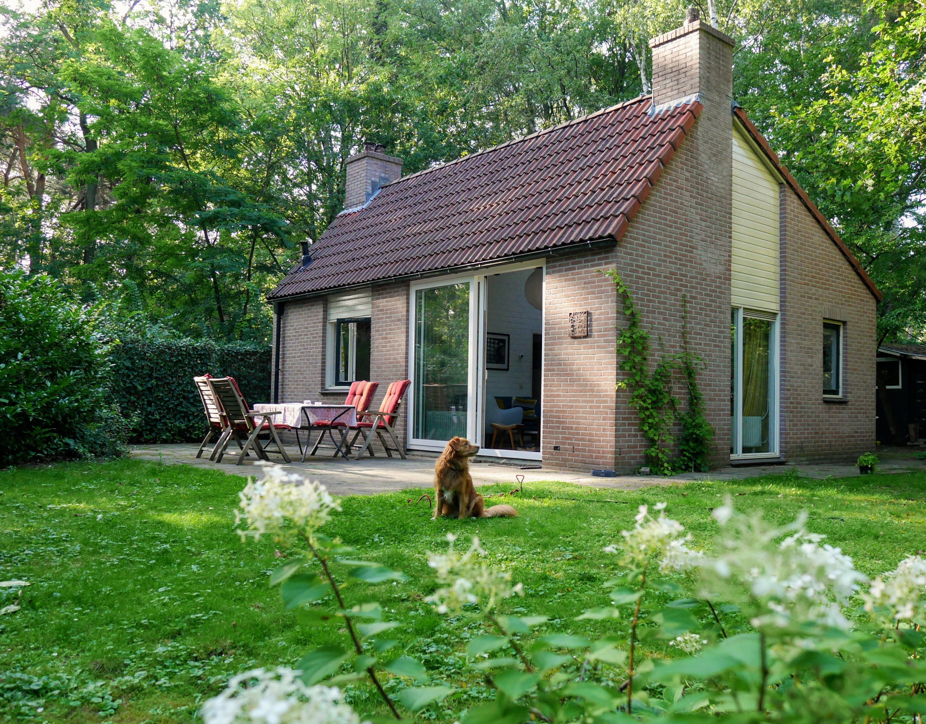 Nature house in Harfsen