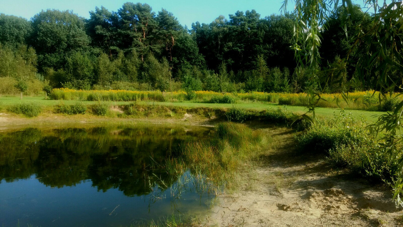 - image: 14