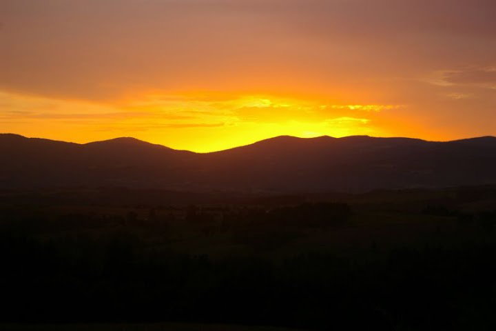 - image: 12