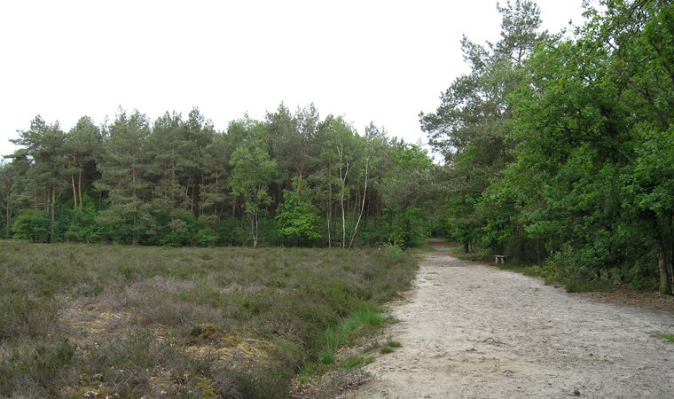 - image: 29