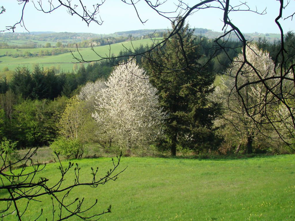 Natuurhuisje in Arfeuilles