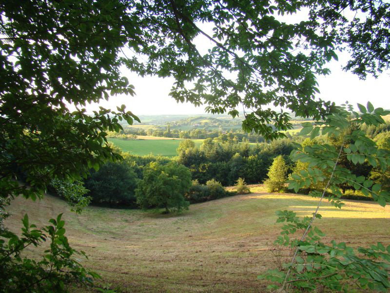 Natuurhuisje in Arfeuilles
