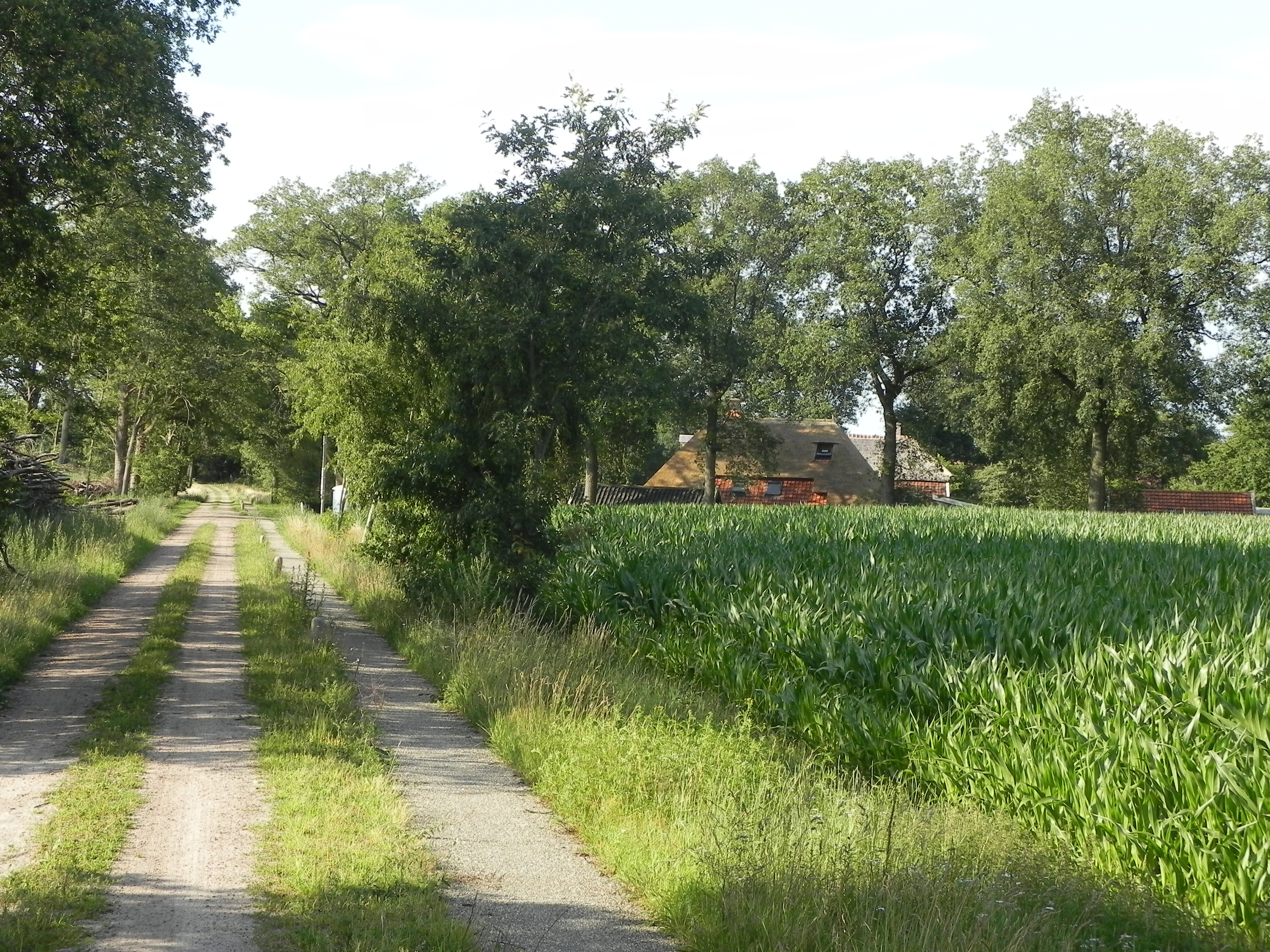 Naturhäuschen in Markelo