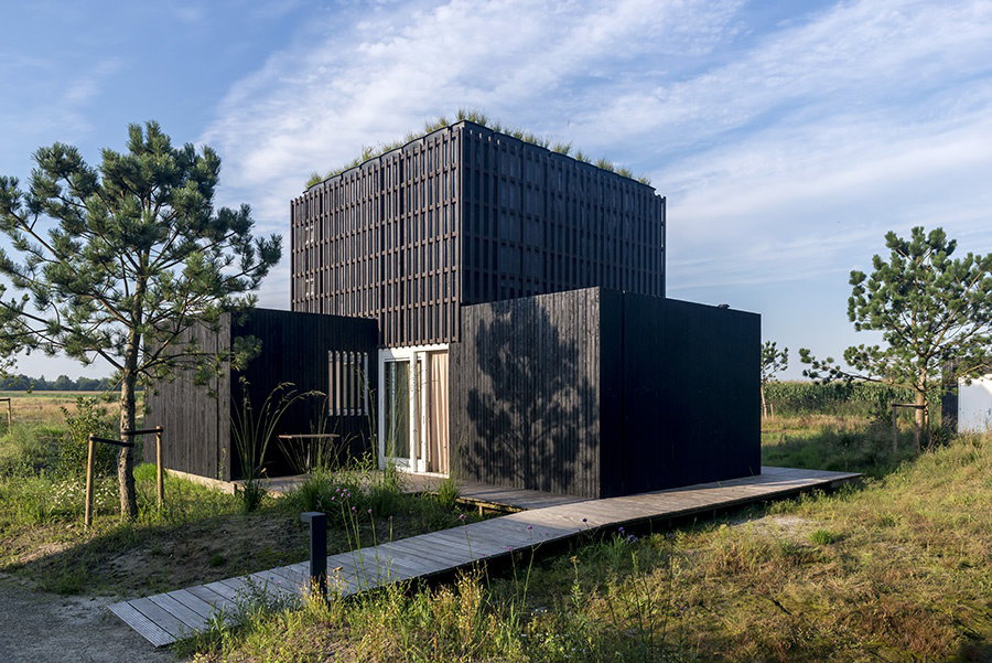 Nature house in Wapserveen