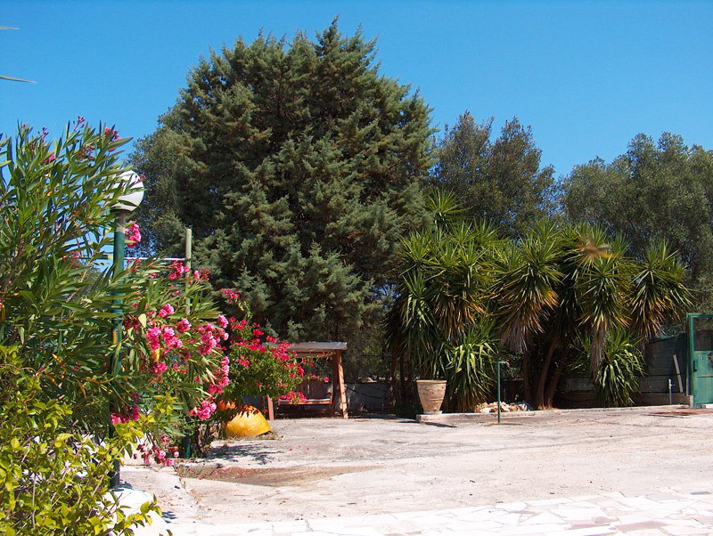 - image: 15