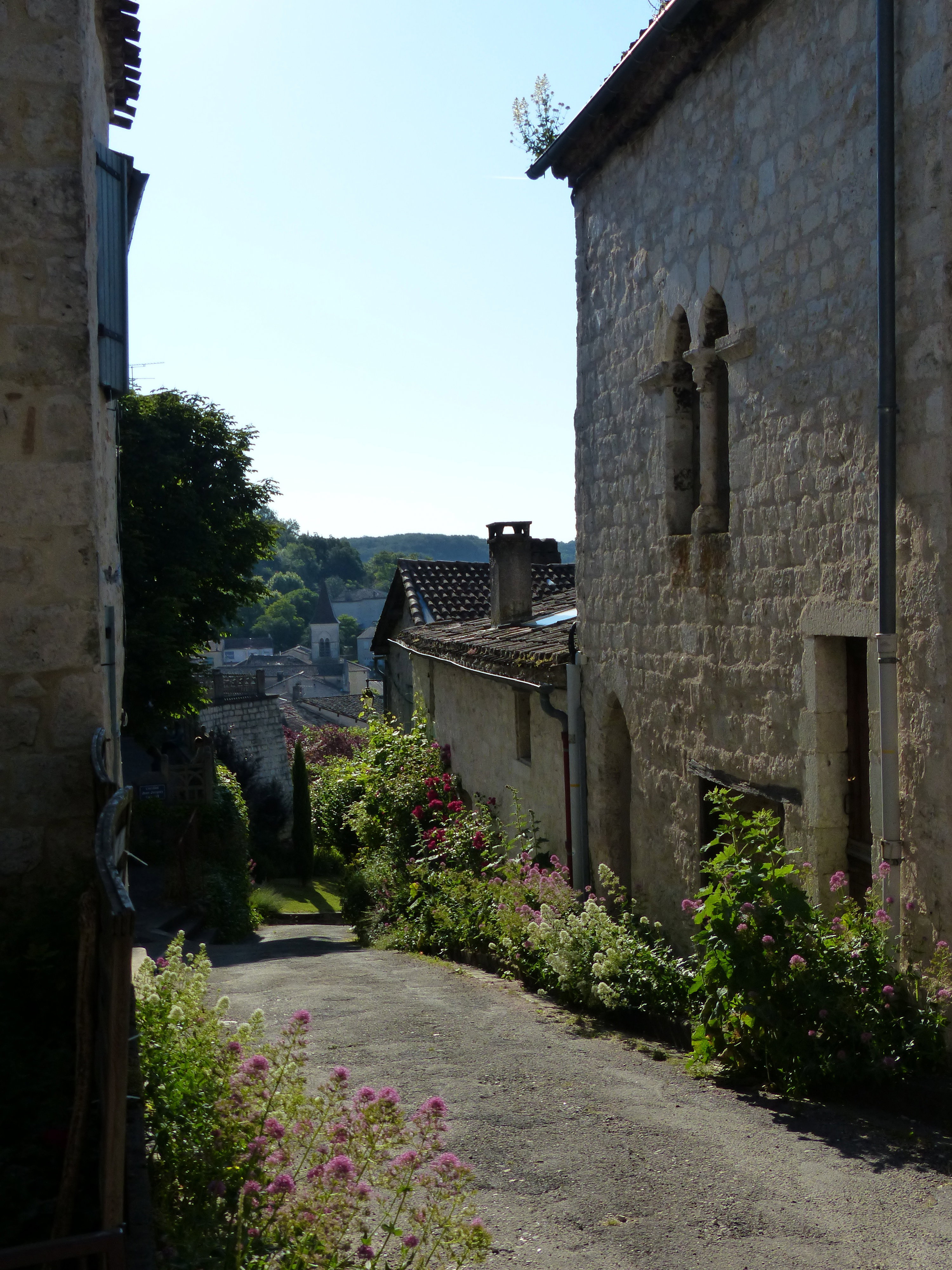 - image: 20