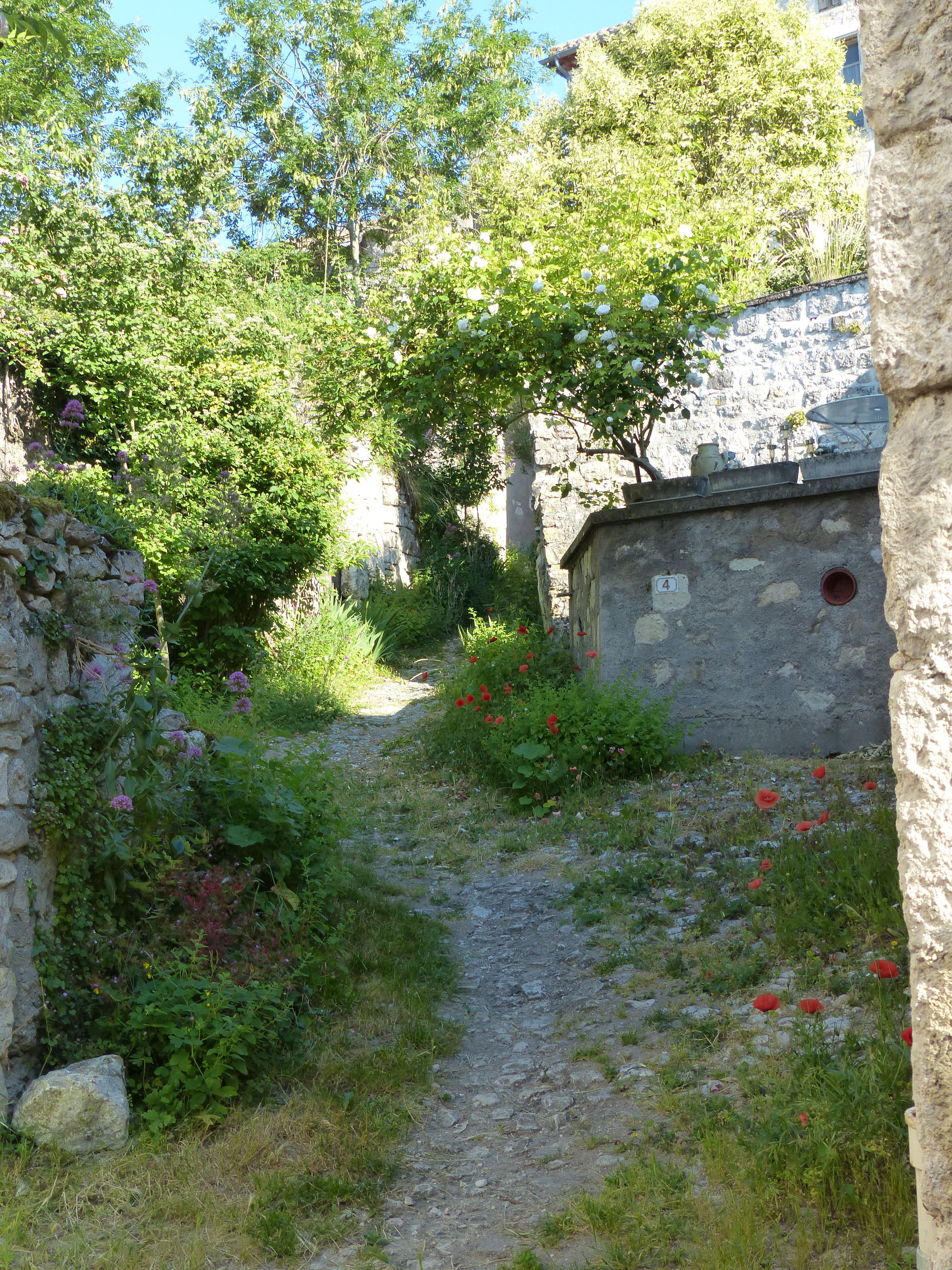 - image: 23