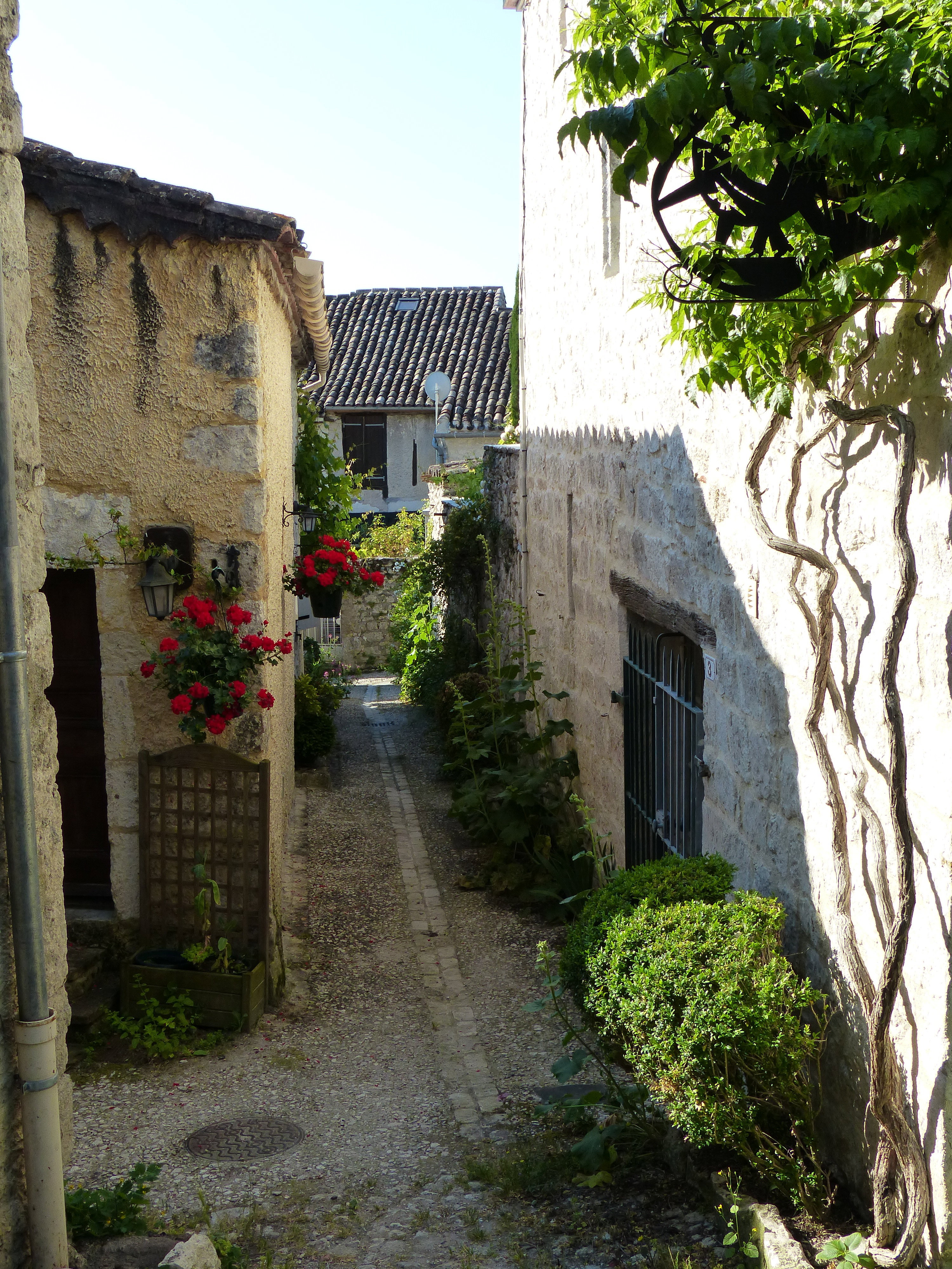 - image: 19