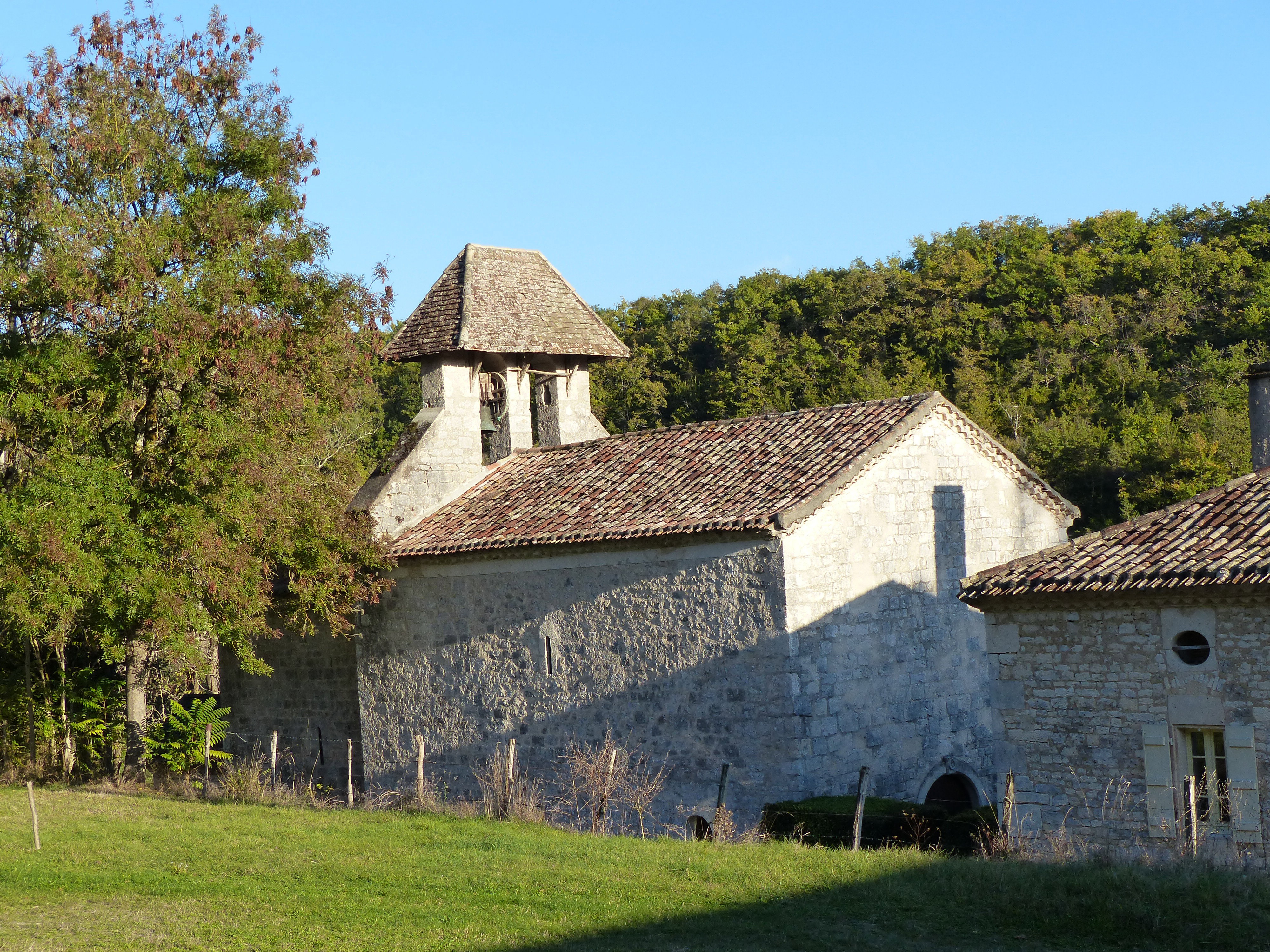 - image: 15