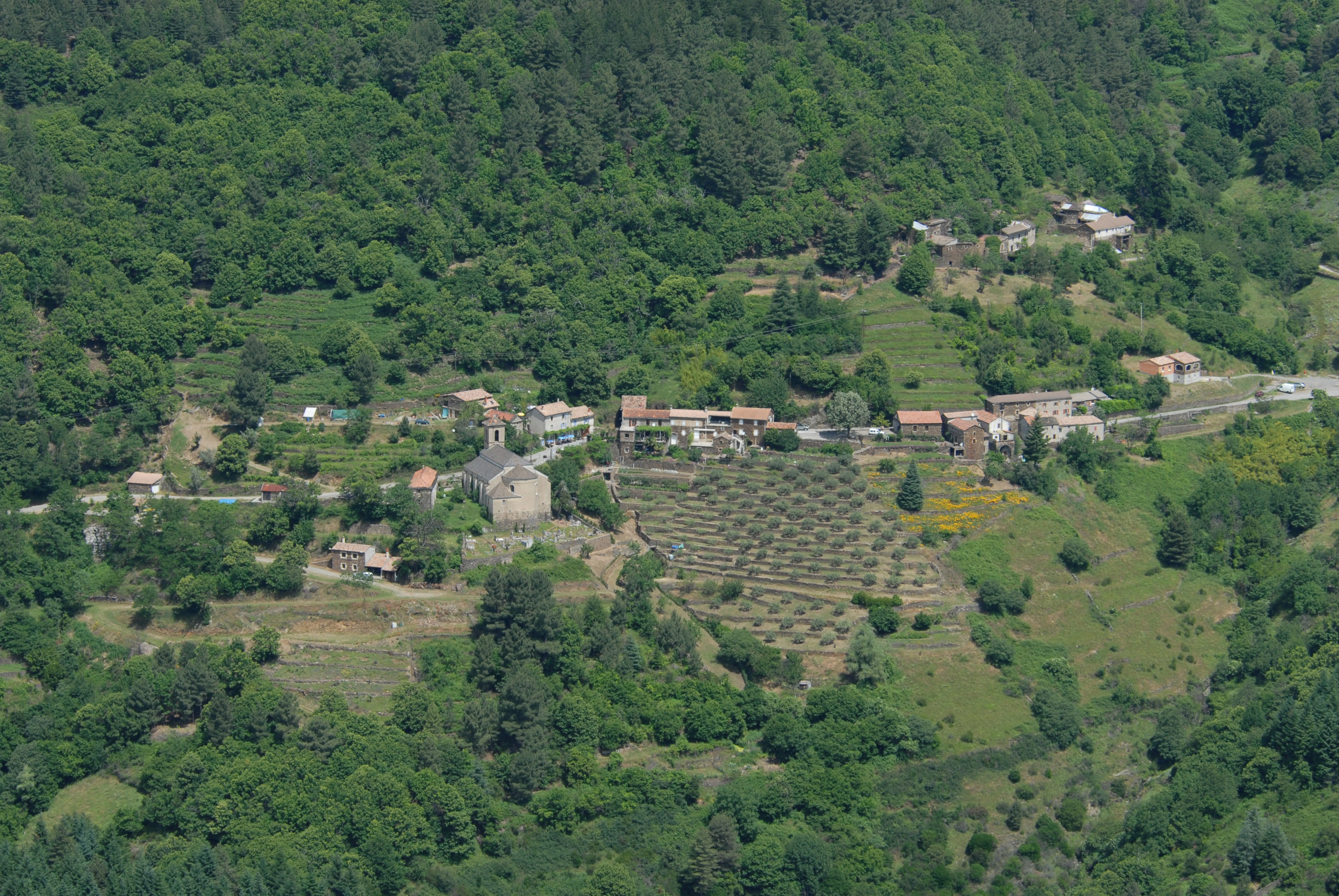 - image: 19