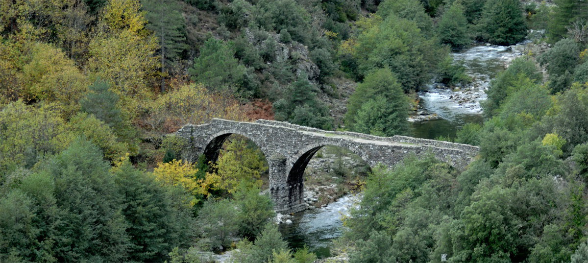 - image: 17