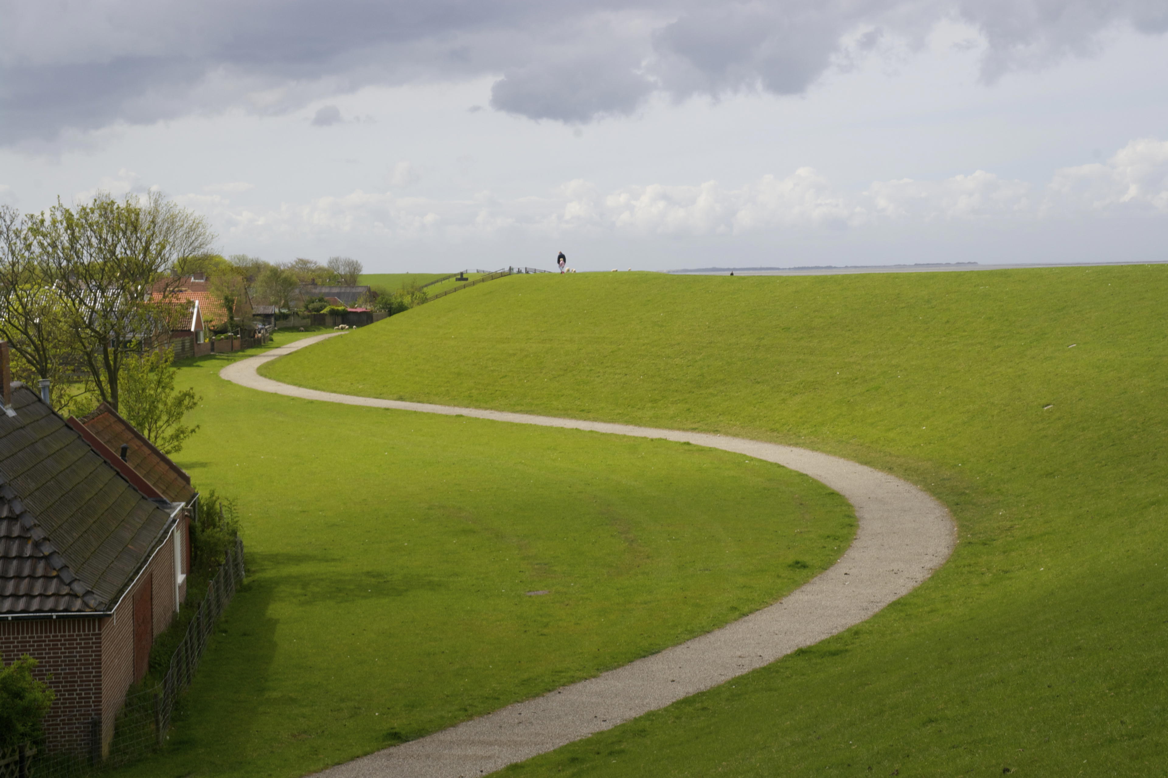 Natuurhuisje in Moddergat