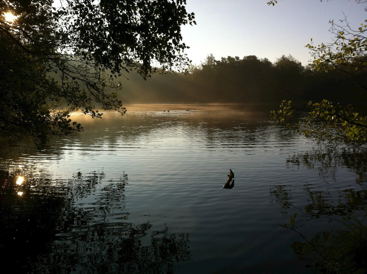 - image: 21