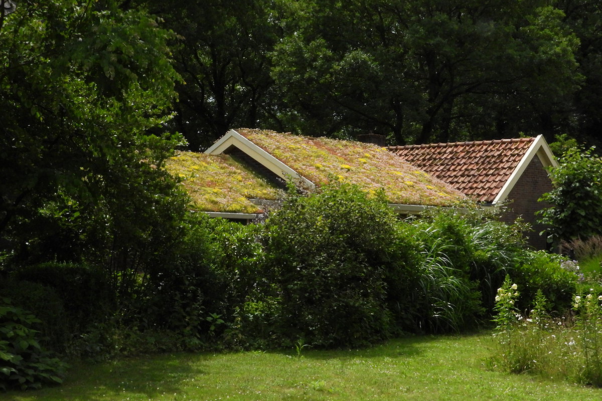 Natuurhuisje in Zuidwolde