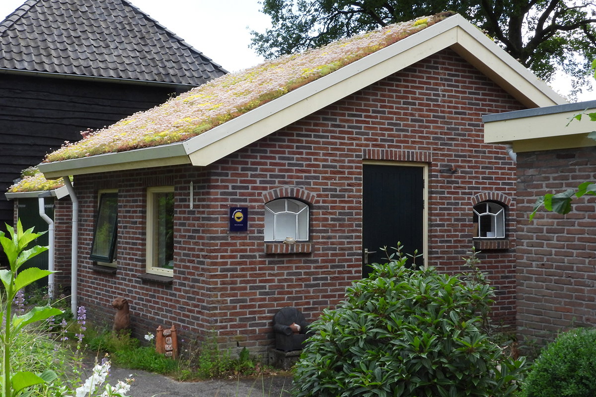 Natuurhuisje in Zuidwolde