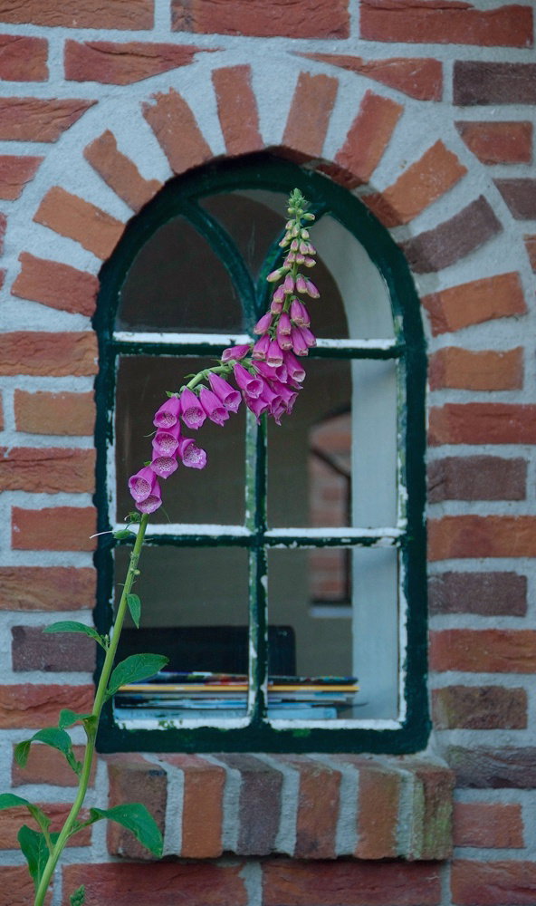 Casa nella natura a Zuidwolde