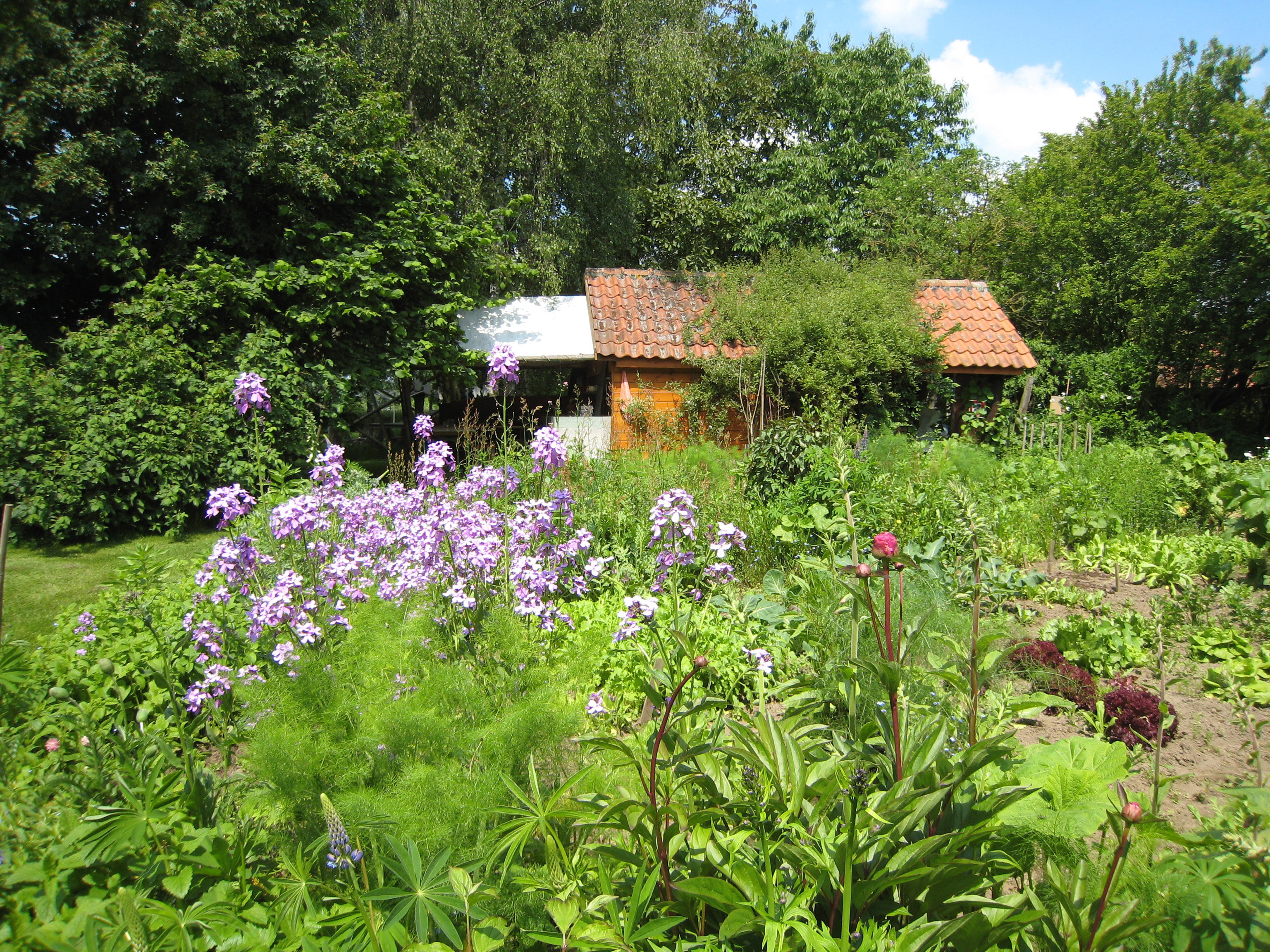 Naturhäuschen in Nijlen