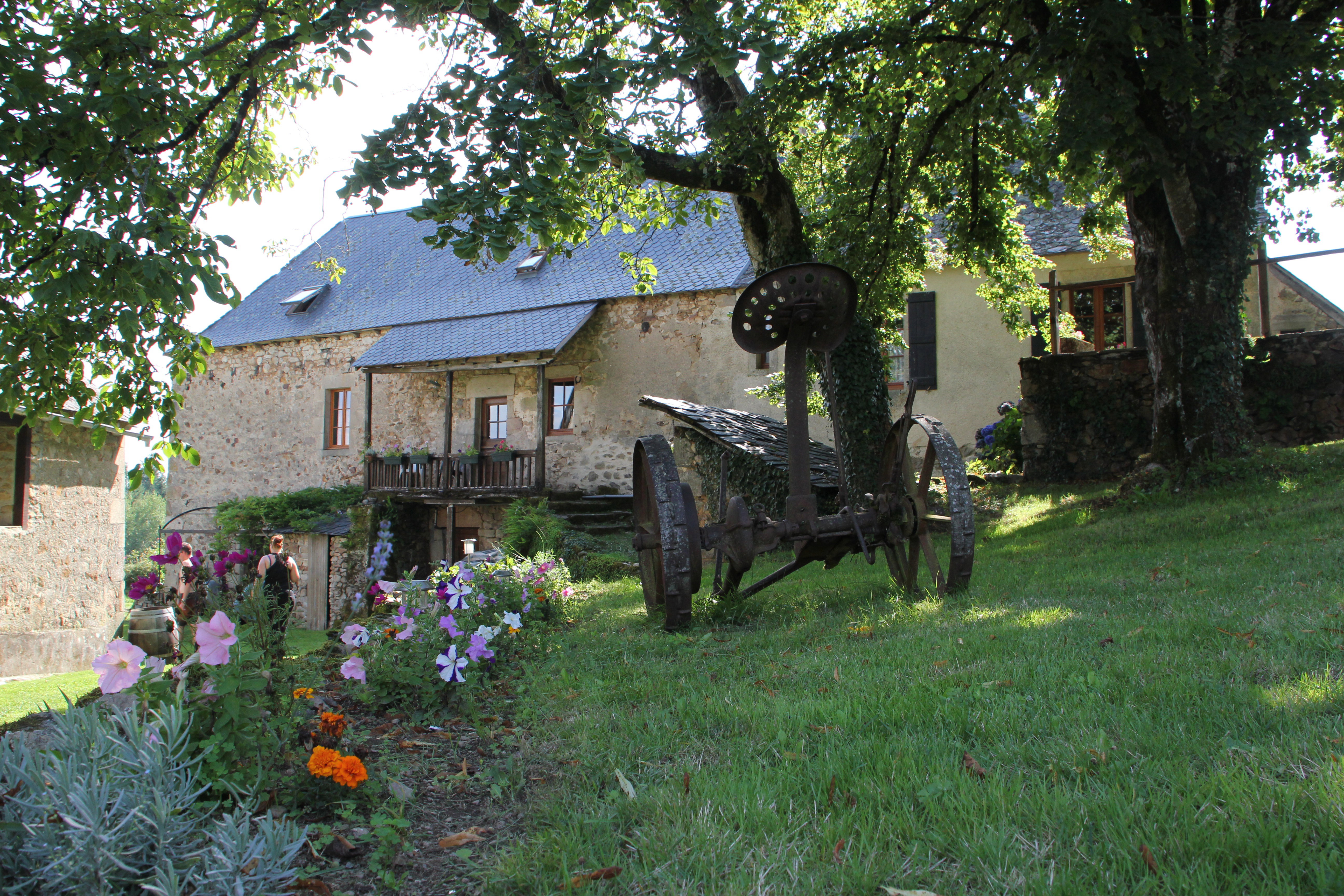 - image: 19