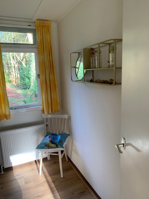 - image: 20