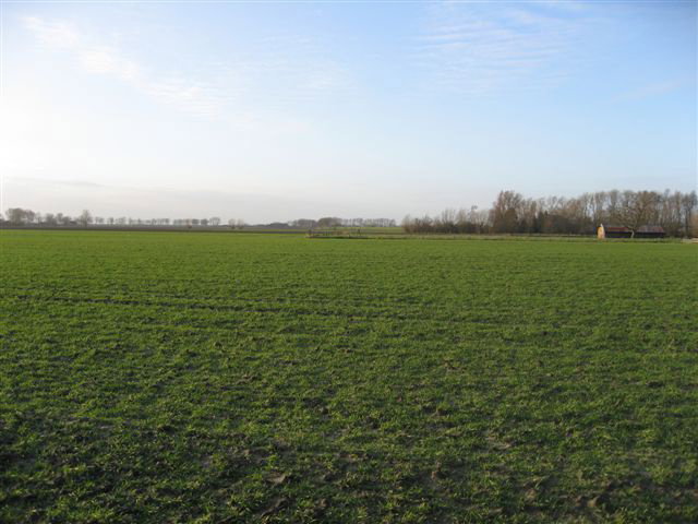 - image: 68