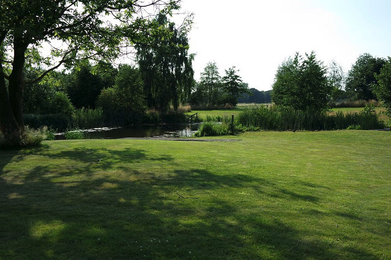 - image: 25