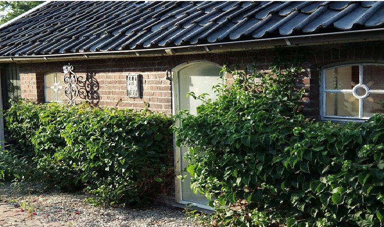 Naturhäuschen in Neede