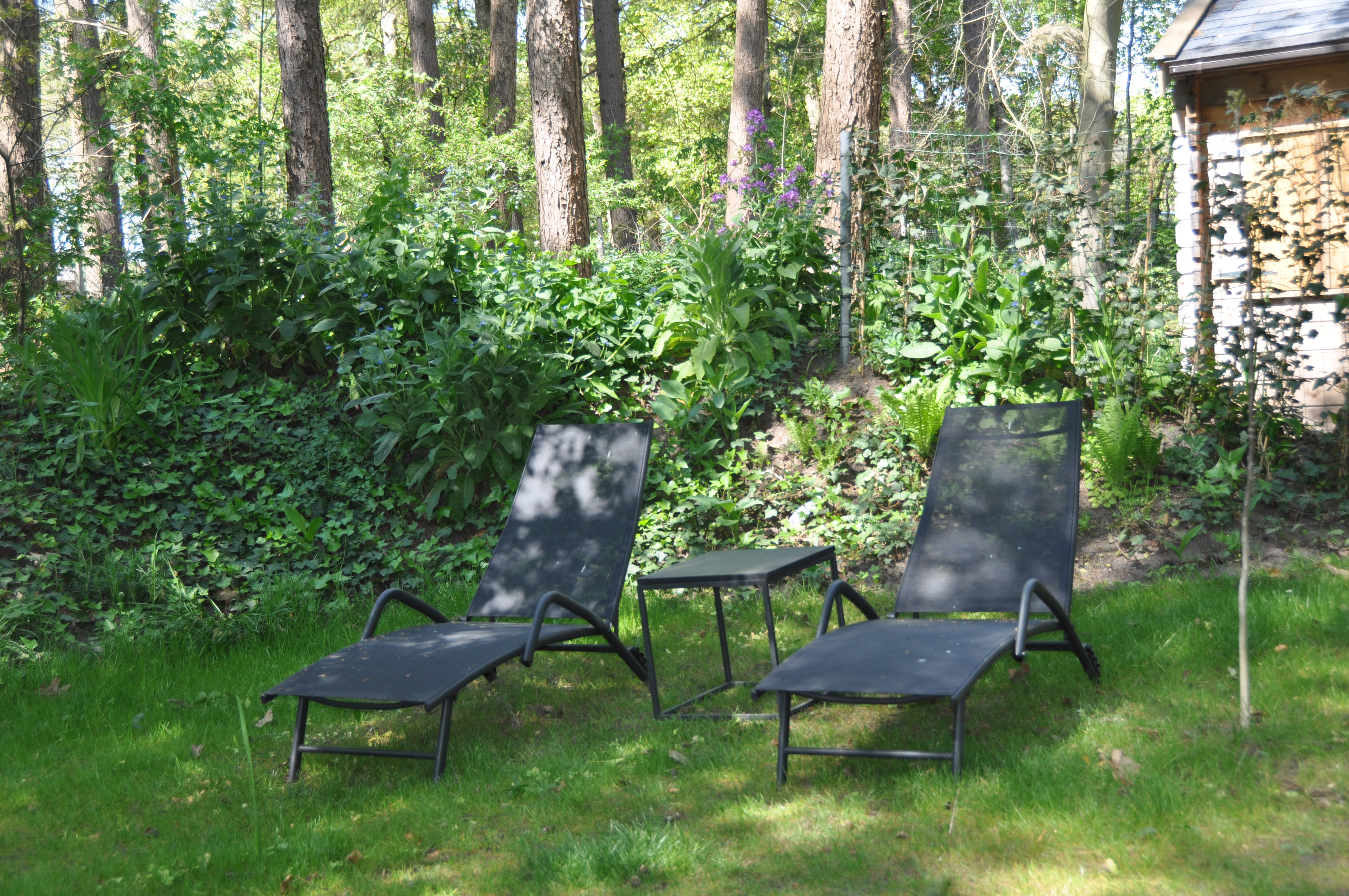 Natuurhuisje in Lochem