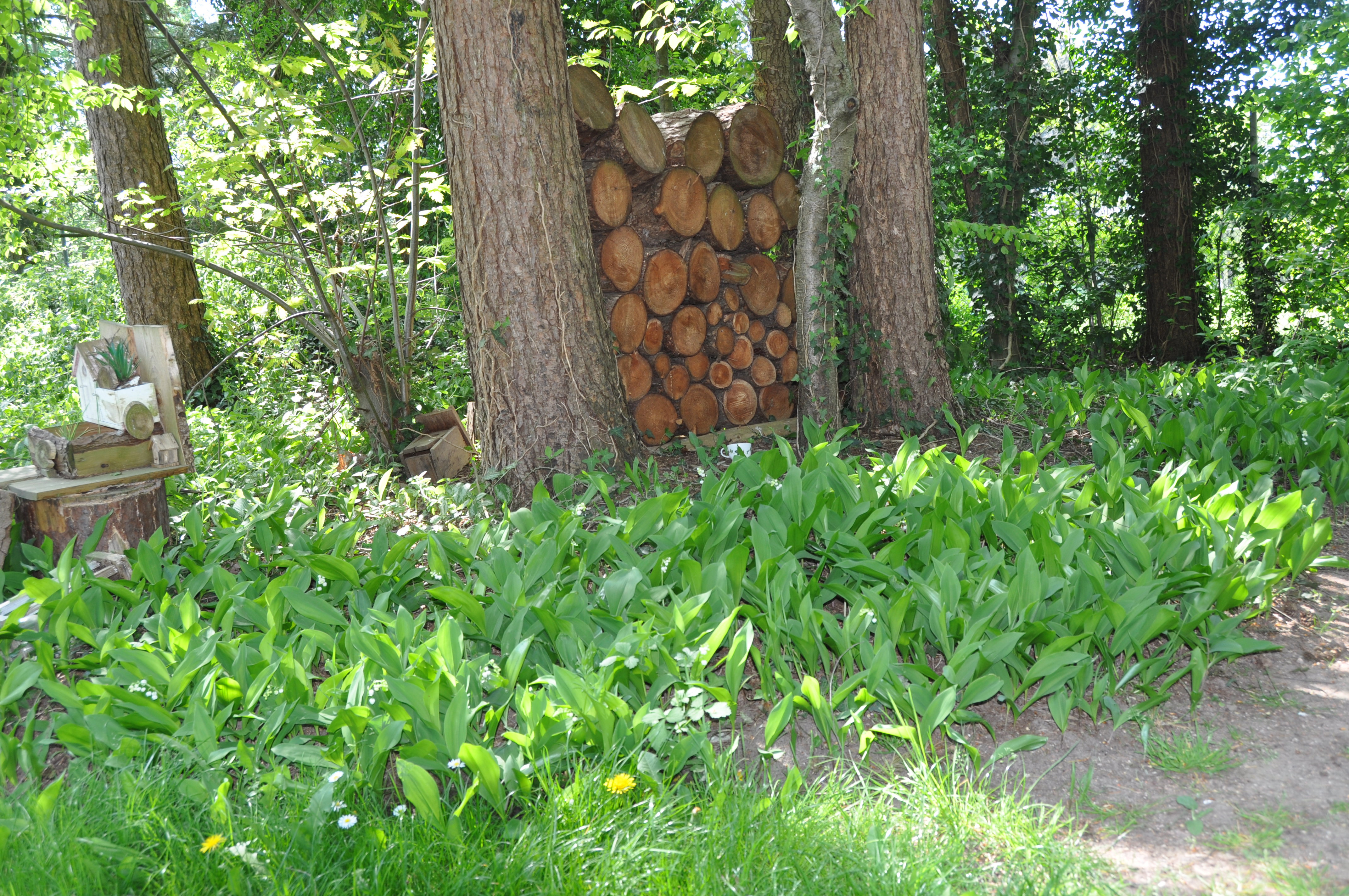 Natuurhuisje in Lochem