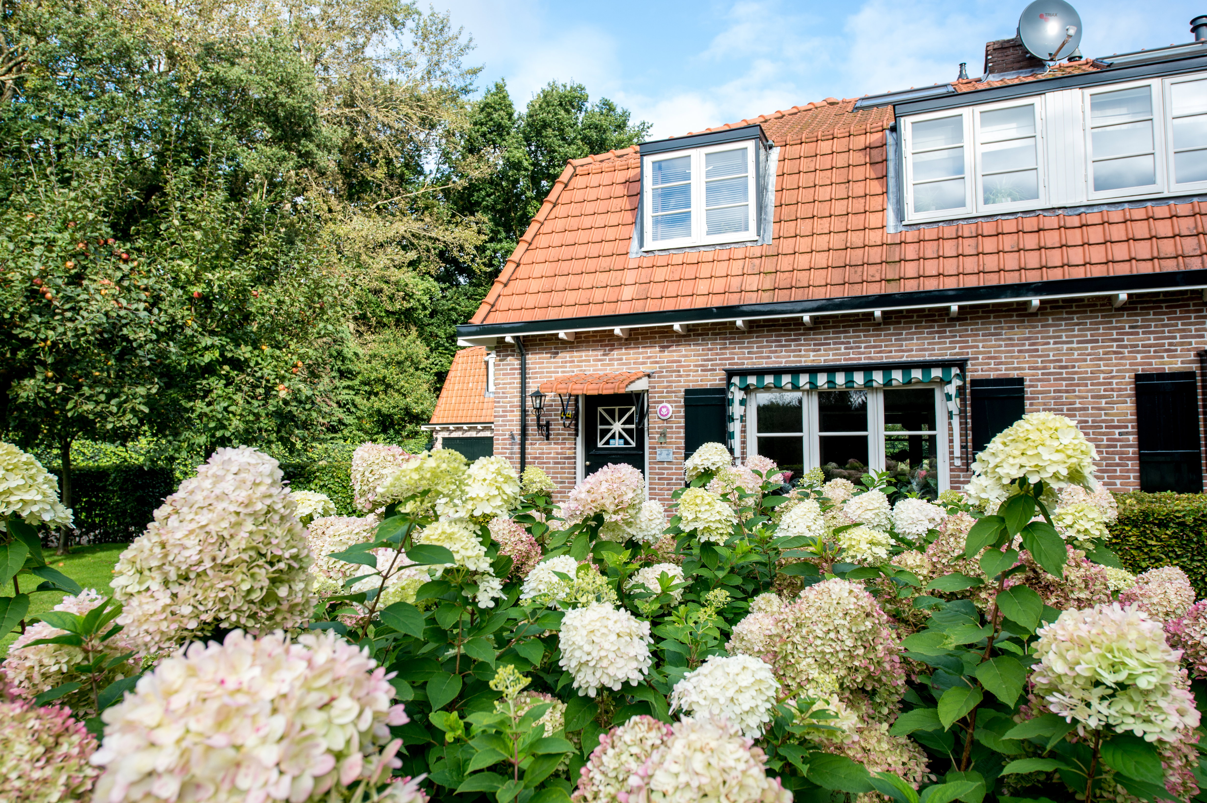 Maison nature à Naarden