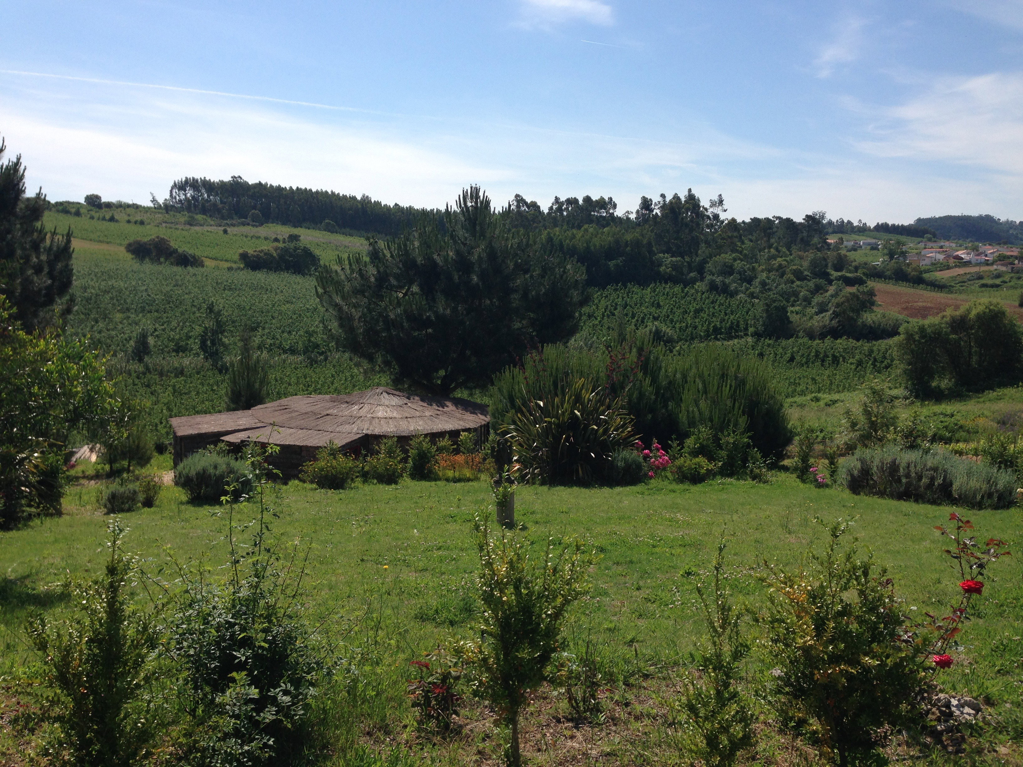 Natuurhuisje in Vimeiro, Alcobaça