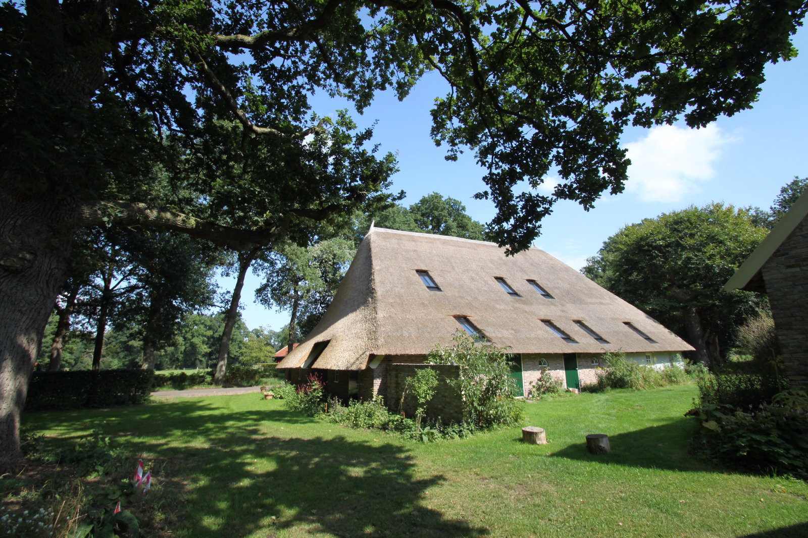 - image: 11